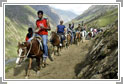 Amarnath 