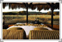 Luxury Wildlife Package